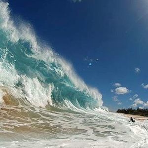 Meet your Posher, Sheron